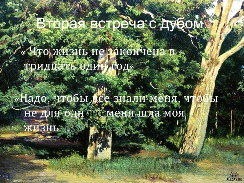 Вторая встреча с дубом.   « Что жизнь не закончена в тридцать один
